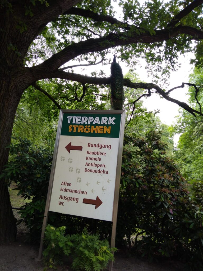 AWO Mennighüffen besucht Tierpark Ströhen
