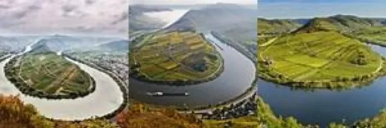 Weinlese an der Mosel